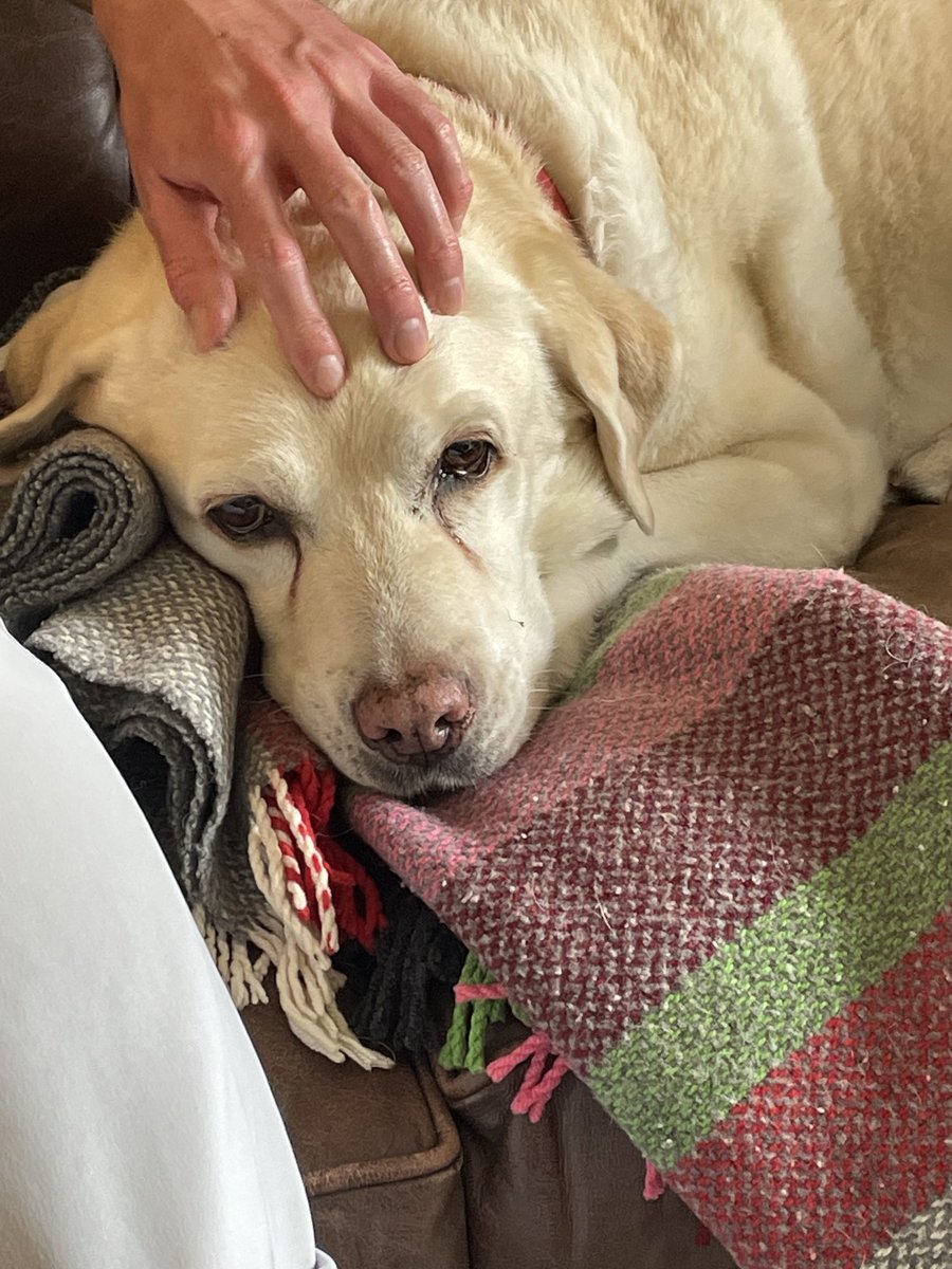 Robert Lindsay tweet media