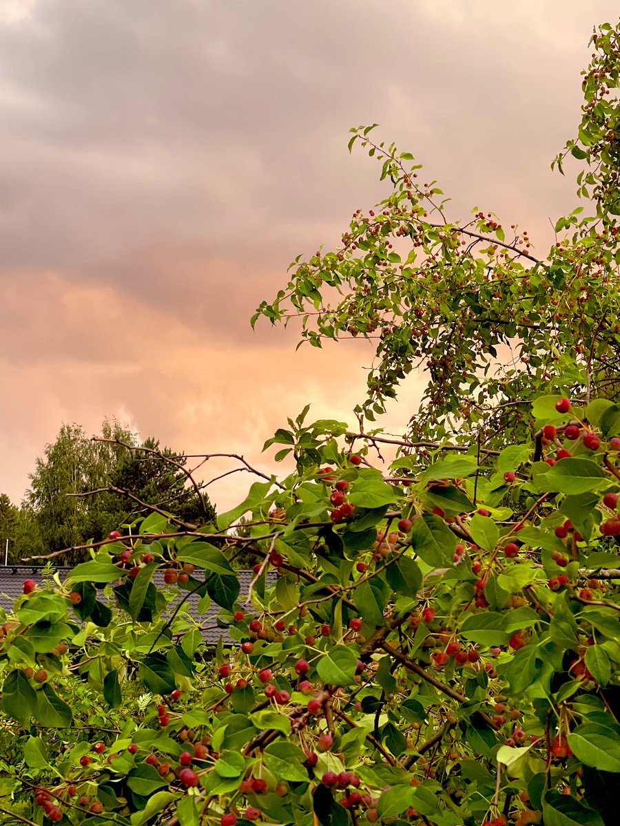 PoncedeLeon_Isr's tweet image. Your secret power over me, for Real!
Happy Mercury evening Sun 🧡&amp;amp;🩶
#AutumnCommences #Summersgone #Love4Seasons 🍂✨🍃