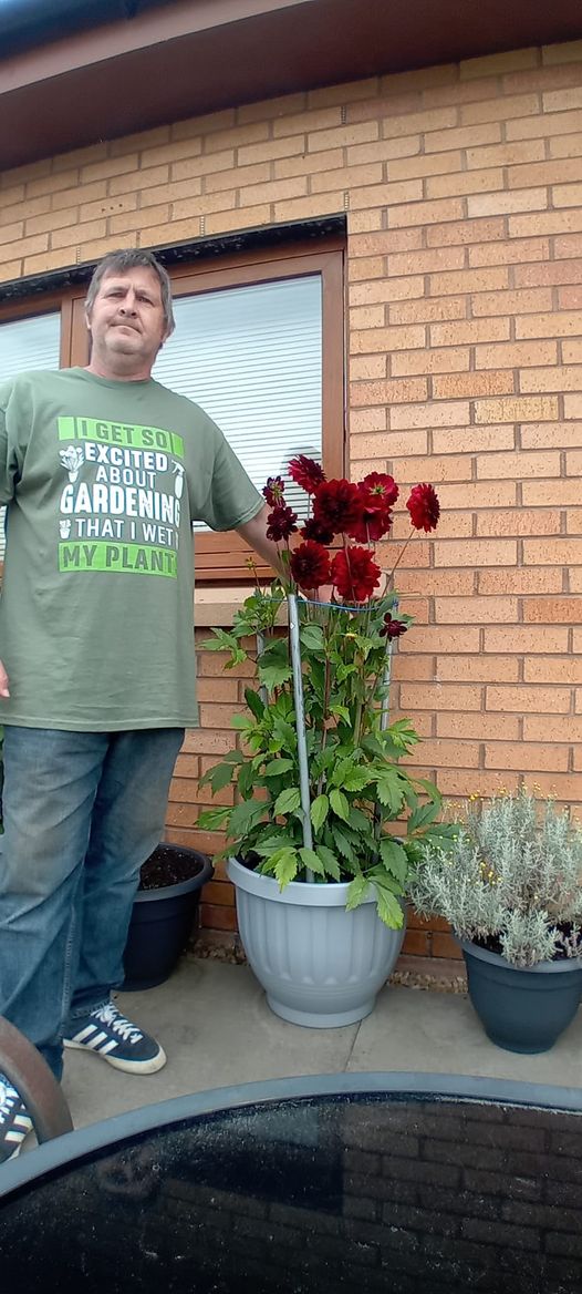 Budget_Gardener's tweet photo. #Flowers #garden #gardeninspiration #gardenersworld #Dahlia #dahlias #dahlialove https://t.co/OOT5H2wFTc