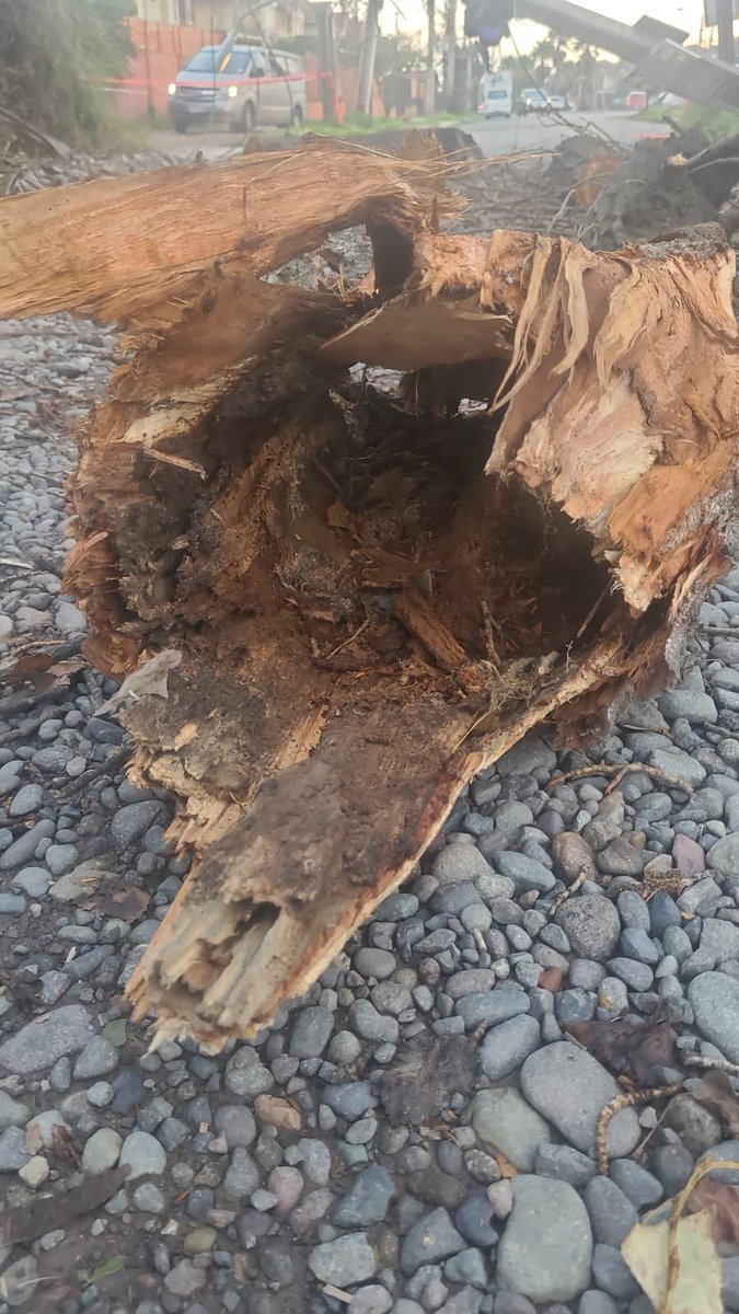 Cybelinky's tweet photo. Casi las 14 horas y seguimos sin suministro es imposible hacer reclamos y tener respuestas concretas para podernos programar hace un rato vinieron a limpiar y no pueden seguir porque @Enel_Informa_CL @EnelChile no viene a ver los cables y están electrificados @Muni_Maipu https://t.co/VUuAgrpI2L