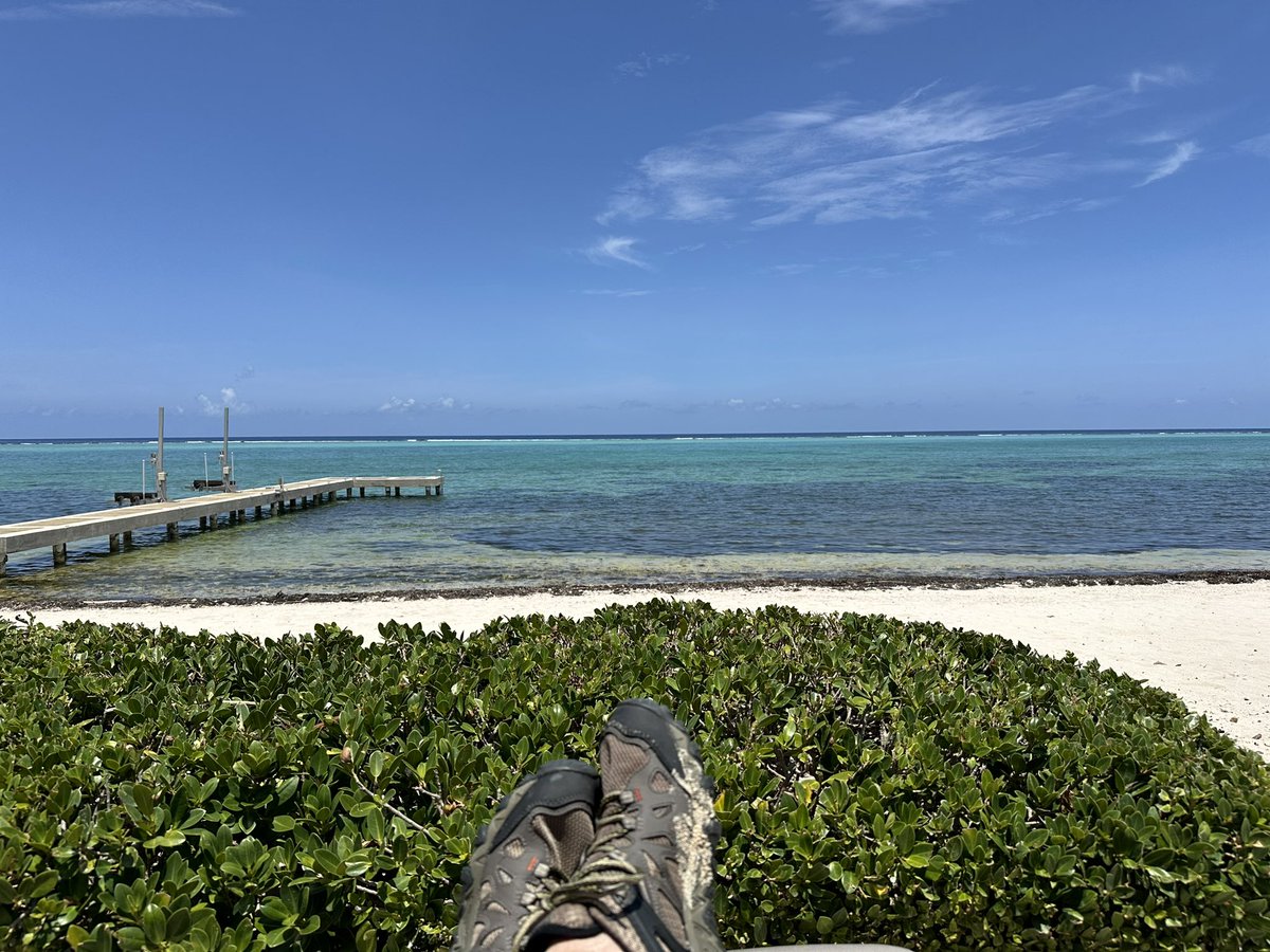 Andy asutton tweet media