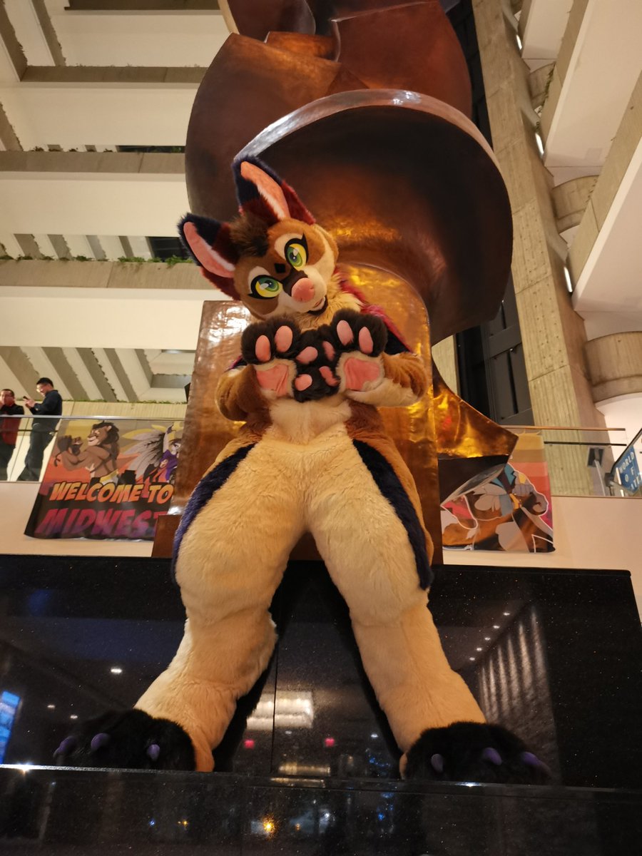 Emily_Creative's tweet photo. After a lot of thought, Ive decided to take offers on my Emily suit 

Looking for offers of 5k+
Buyer pays shipping 

Retweets are much apprichiated 🫶🏼 https://t.co/ABrf7EVcDH