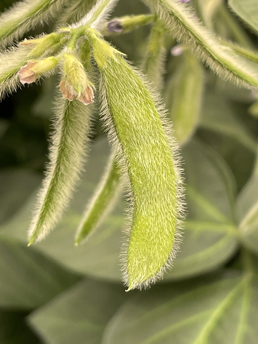 Christine Girtain NJSTOY2023 tweet media