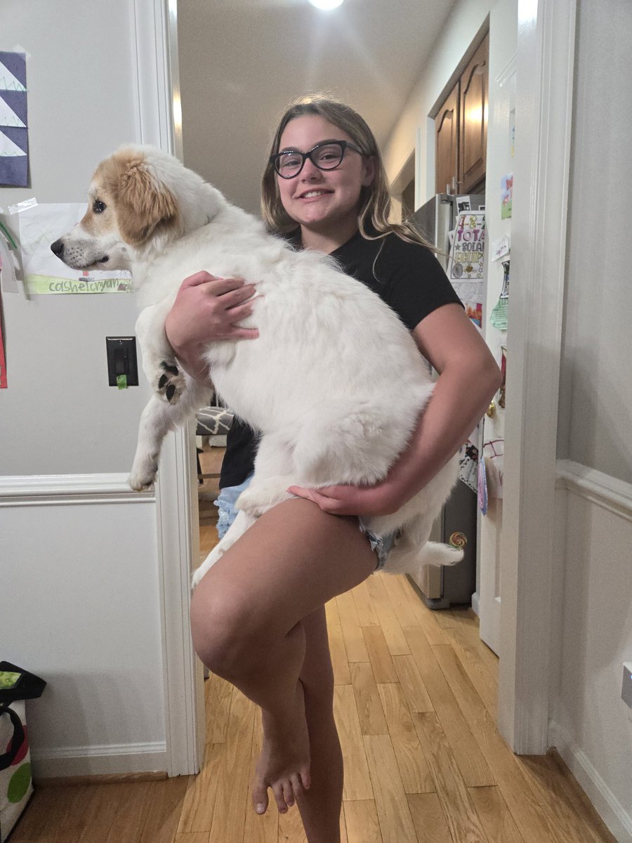 thepawdr's tweet photo. @DCAllisontv Happy birthday!   This is my new puppy.  My daughter's 13th bday present is getting a little big to hold now, though  .  A lucky pooch to have such a great mom and family , hope Fifi stays happy, healthy, and doesn't get into too much trouble. https://t.co/7yKZiZO4XG