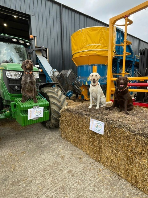 Openfield: More than just grain. tweet media