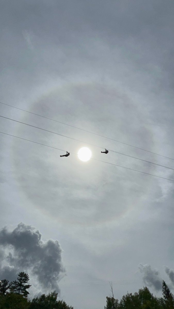 Camp Fortune tweet media