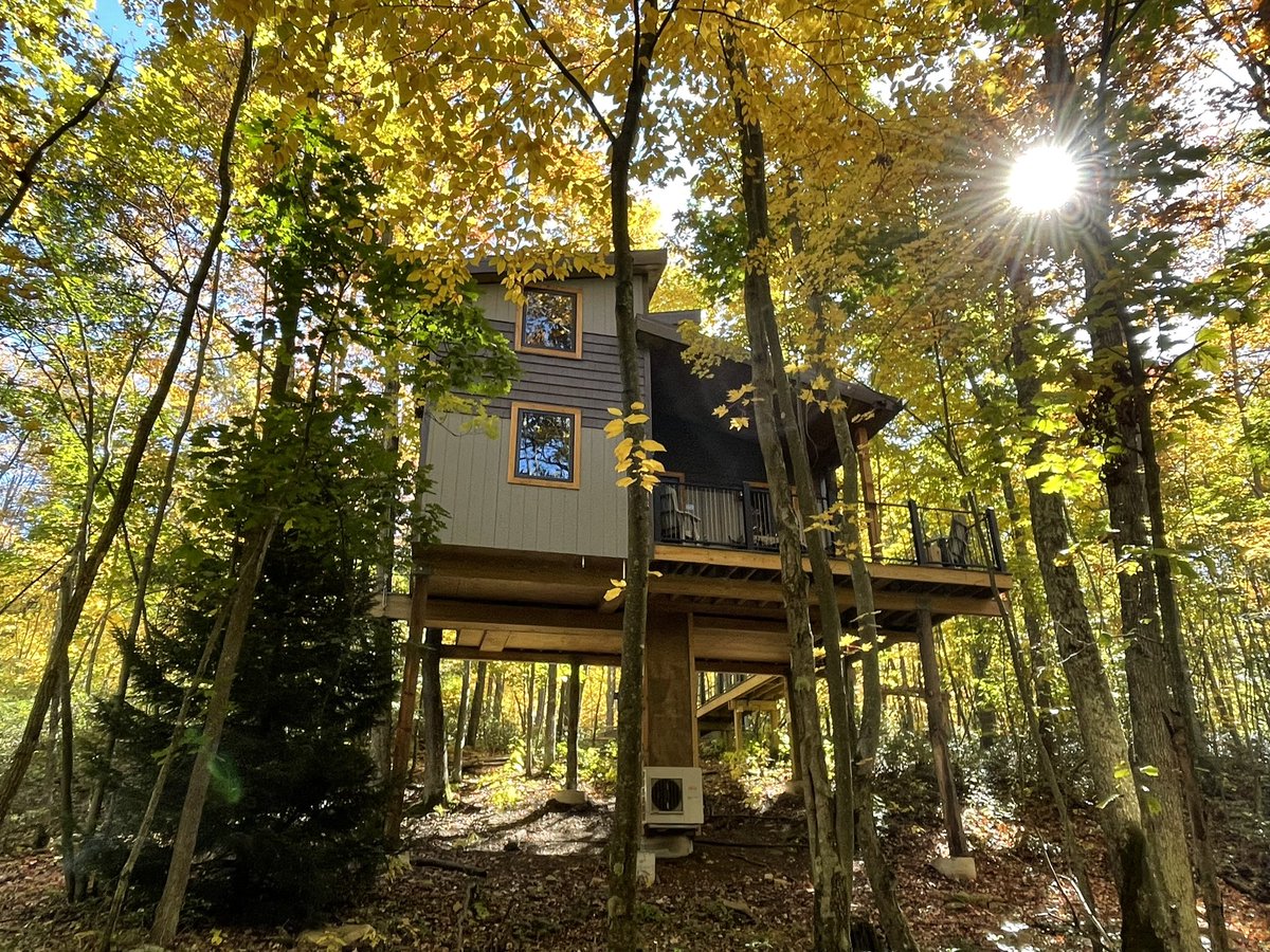 eetreehouses's tweet image. The Eagles Nest and DayDreamer Treehouses have availability Labor Day weekend! eetreehouses.com 
Book now! #treehouse #treesplease #laborday #availability #treetops #treasure #lovelyspace #deepcreekmd #maryland #baltimore #washingtondc #westernmaryland #backtoschooltrip