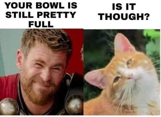 WholesomeMemes (@wholesomememe) on Twitter photo 