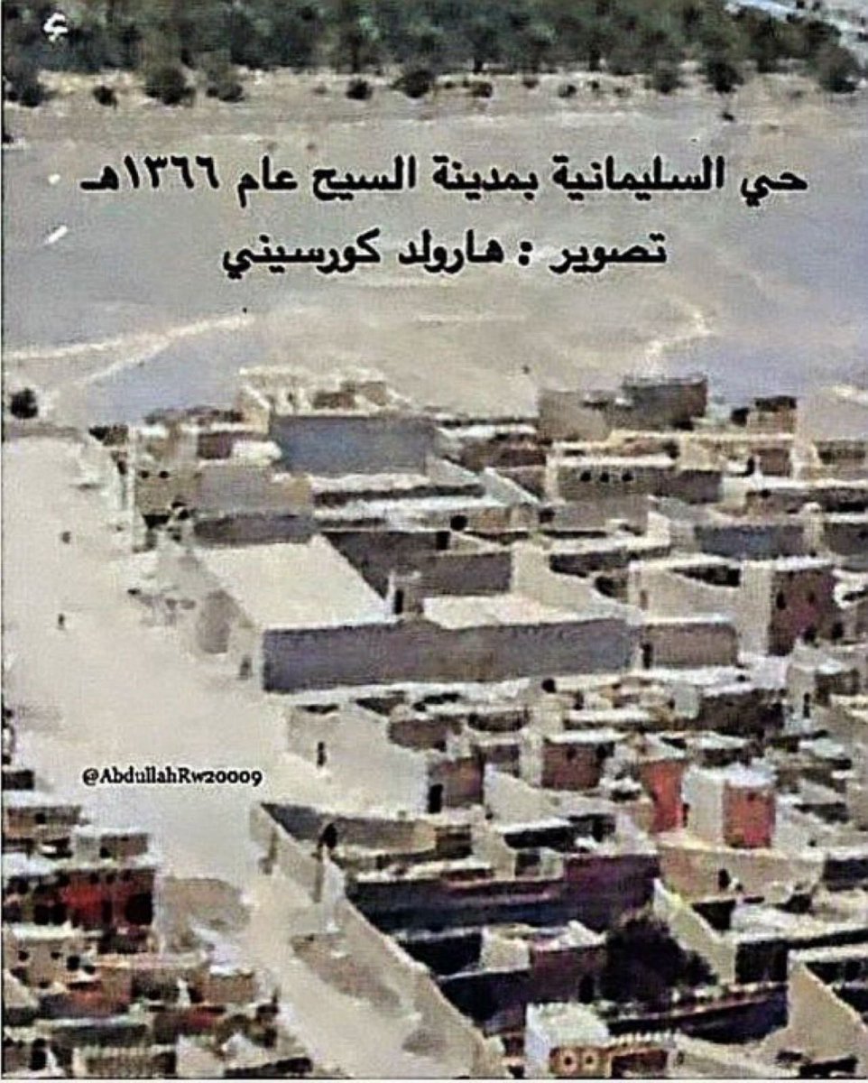 هديب العاصمي tweet media