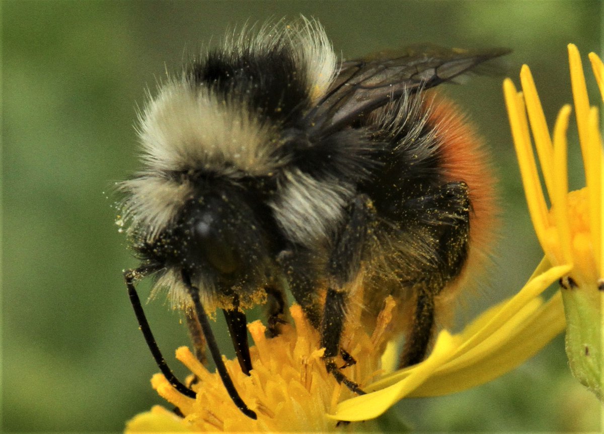 Allen Stuart Holmes tweet media