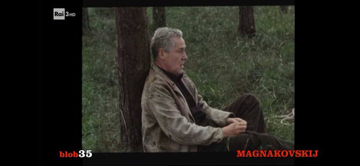 binary_b0op's tweet image. Words, words, words... #Blob35 Magnakovskij, magnifico! @BlobRai3