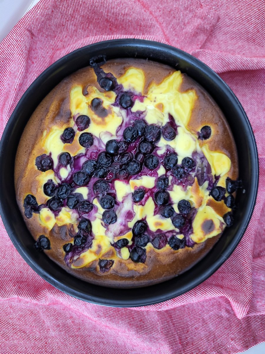 modaci07's tweet image. Torta Nua mı diyim yoksa sen mi gerçek ismini söylersin muhallebili kek 🫐
#icooked #ilovecake