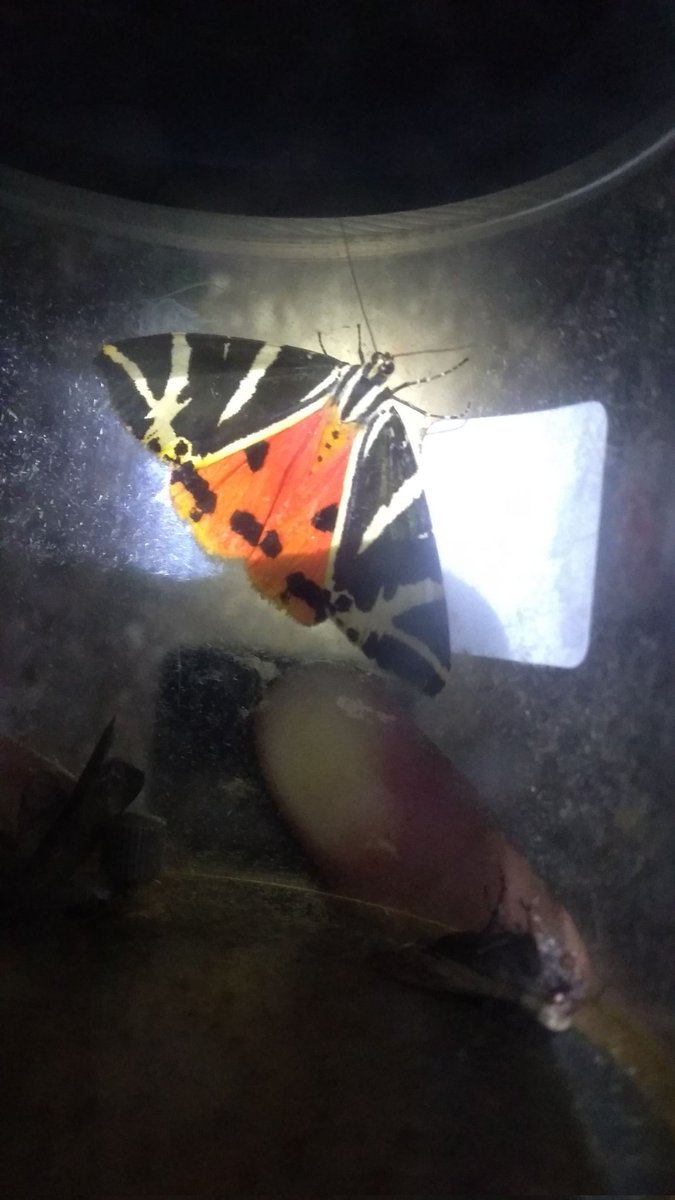 Yup. That's true! 3yrs ago