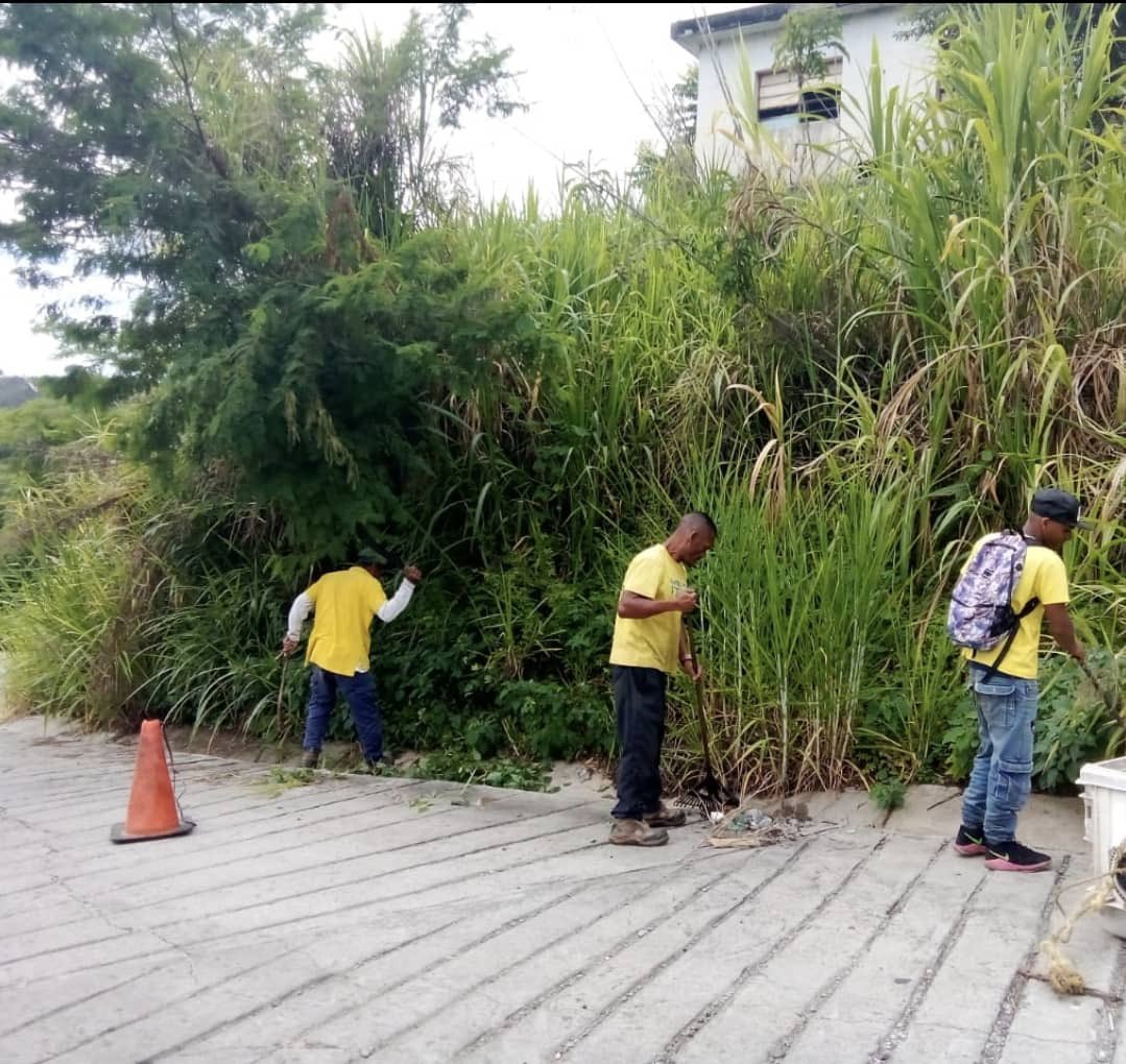 🌿🚜 ¡Seguimos trabajando por un municipio más limpio! Realizamos labores de desmalezamiento, limpieza y recolección de desechos vegetales en los laterales viales de la Urb. #ElEncantado. 🌳 #ElHatillo
