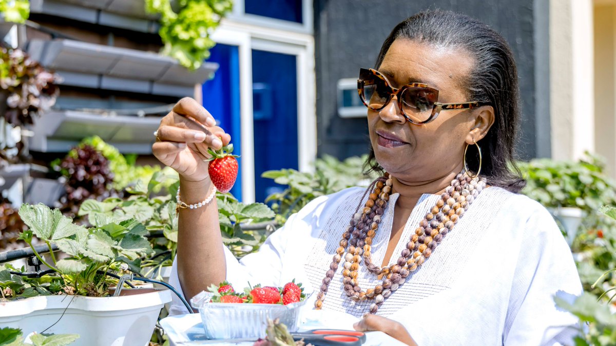 FAO in Rwanda tweet media