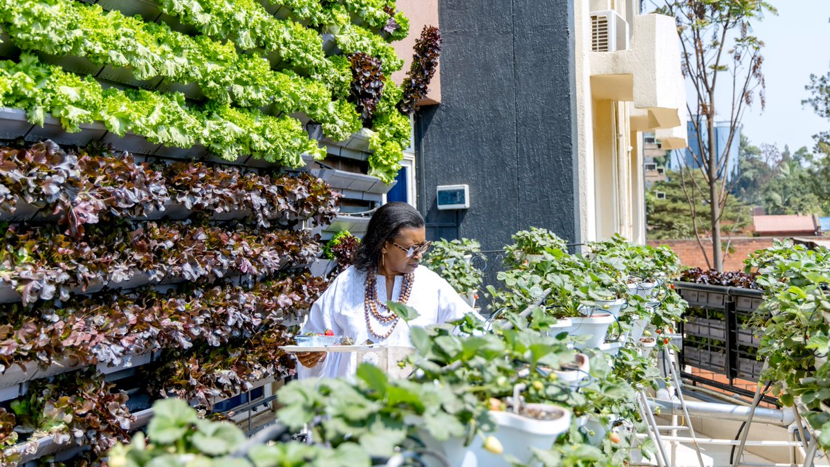 FAO in Rwanda tweet media