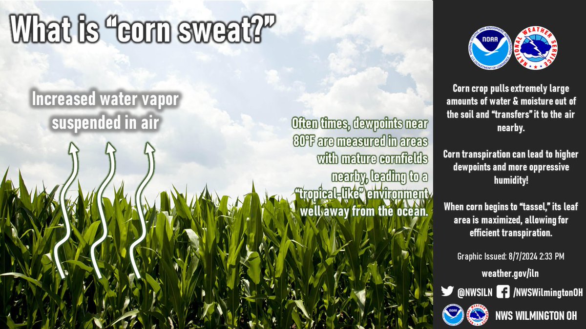 [2:40 PM] Ever wonder why it feels so tropical-like in the Ohio Valley during the summer? Look no further than the nearby fields!