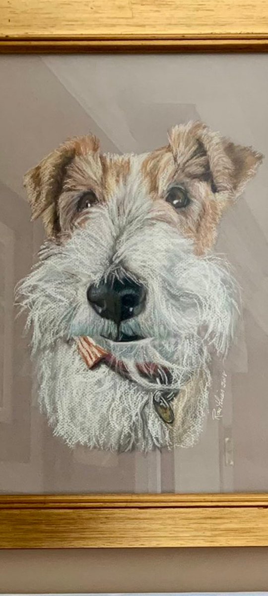 ZadenZane's tweet photo. In loving memory of @FrecklesChimes who bimbled over the awful #RainbowBridge a few weeks agoโน๏ธ
What a gorgeous #pawtrait by top #dogpainter Andy Sylvester
What about this one? Whoever painted it did a great job of ickle Freckles' #WirefoxWednesday #FuzzyBuzzle and gleamy eyes๐ https://t.co/ZCspqCnx8V