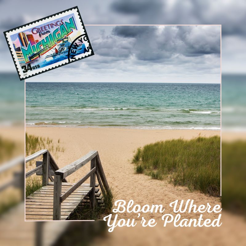 gameroomguys's tweet image. We love our beautiful home state of Michigan! 🏖️ From stunning beaches to lush forests, there's no better place to enjoy summer. 🌞 Whether you're relaxing by the lake or exploring nature trails, Michigan has it all. 🌲🍃

#PureMichigan #SummerInMichigan #ExploreMI #NatureLovers