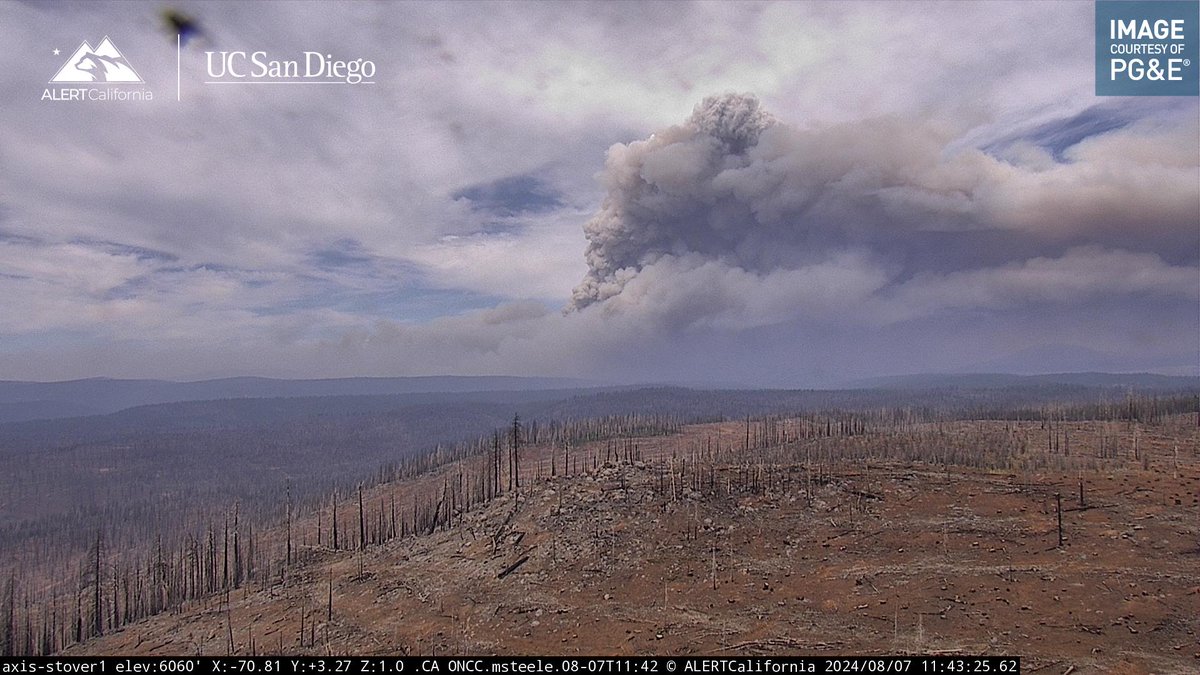 The atmosphere is more unstable today at the site of the #ParkFire. It is already putting up pyrocumulus columns.