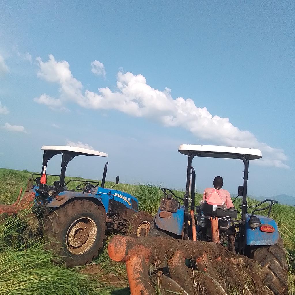 South Sudan food system being built as we write this. It's good to offer consultancy towards building a  #foodsystem based on a sustainable biz model. <a href="/SouthSudanToday/">South Sudan Today</a> <a href="/SouthSudanGov/">South Sudan Government</a> <a href="/WFP_SouthSudan/">WFP South Sudan</a> <a href="/UN_SouthSudan/">UNSouthSudan</a> <a href="/GIZ_SouthSudan/">GIZ South Sudan</a>