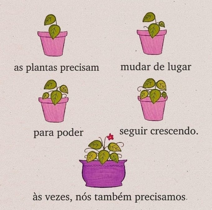 Frases tweet media