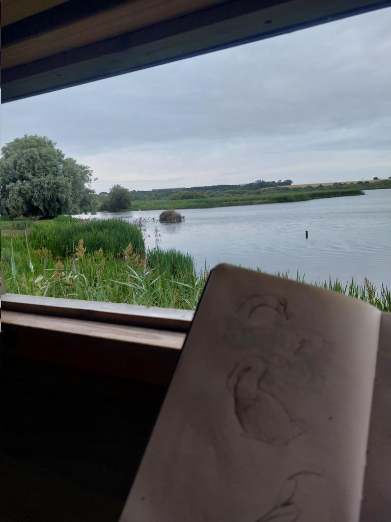 Field sketching at Stodmarsh... my favourite place in Kent.