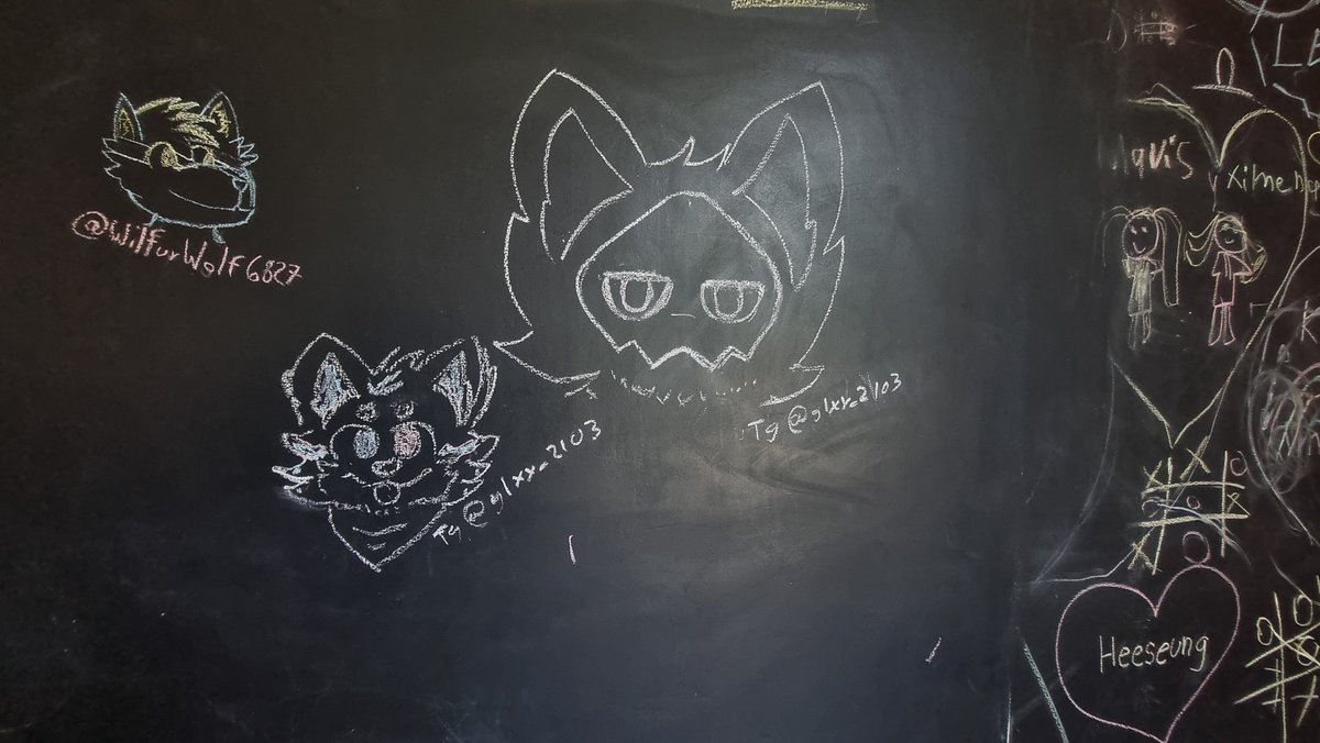 GalaxyHusky tweet media