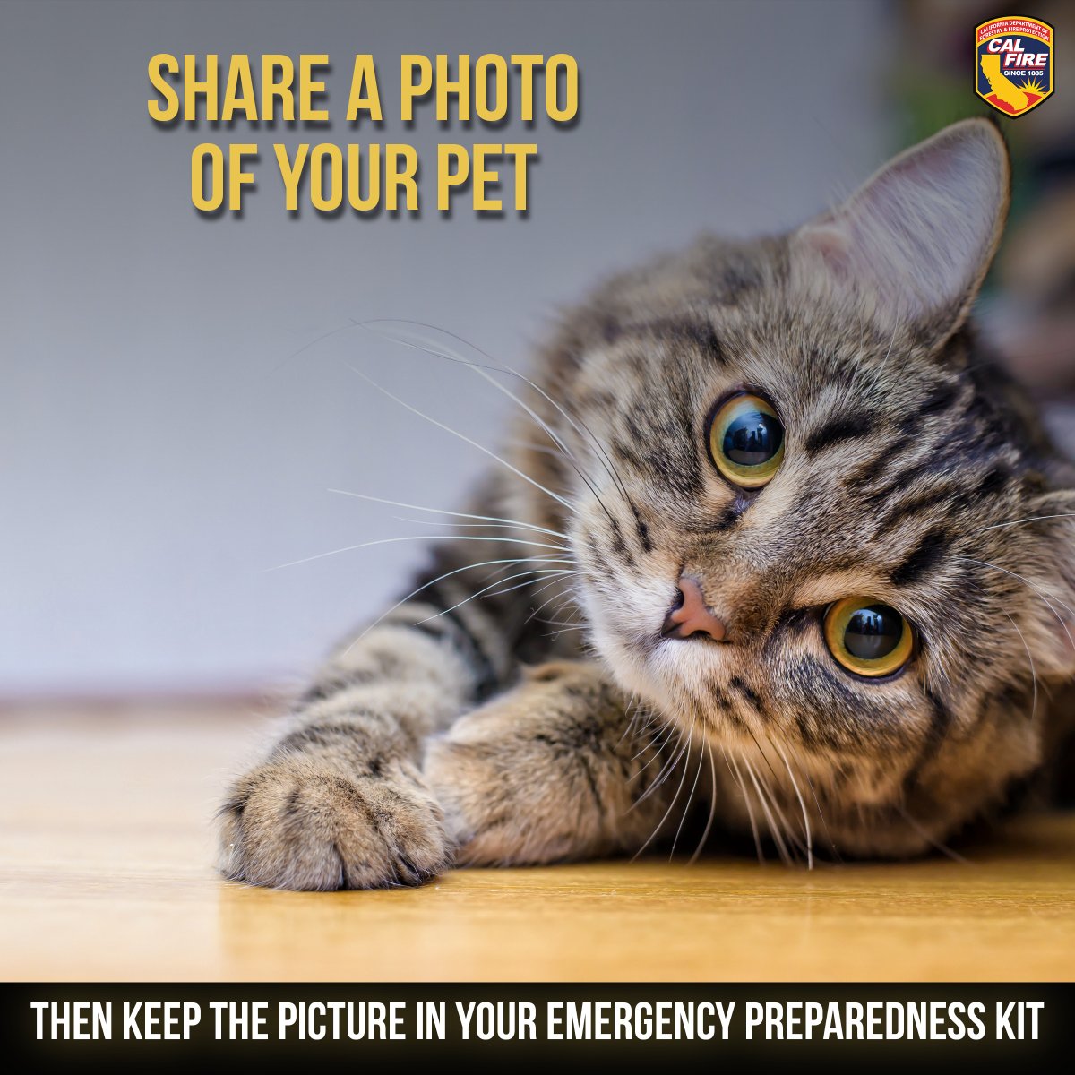CAL FIRE tweet media