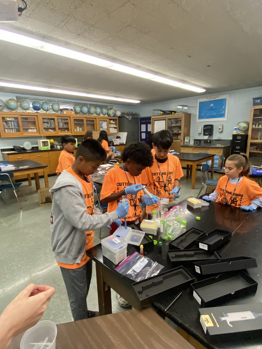 Ms Clarke tweet media