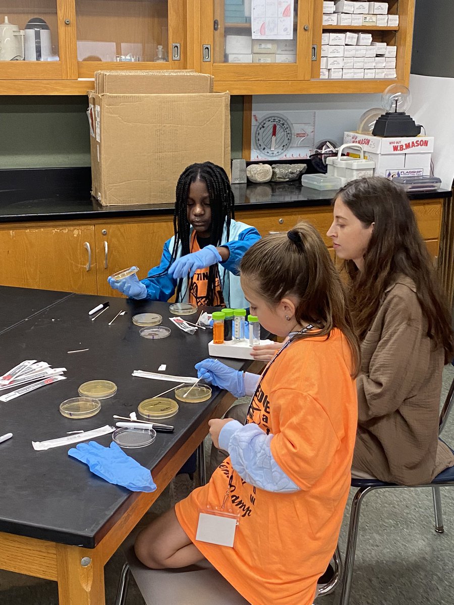 Ms Clarke tweet media