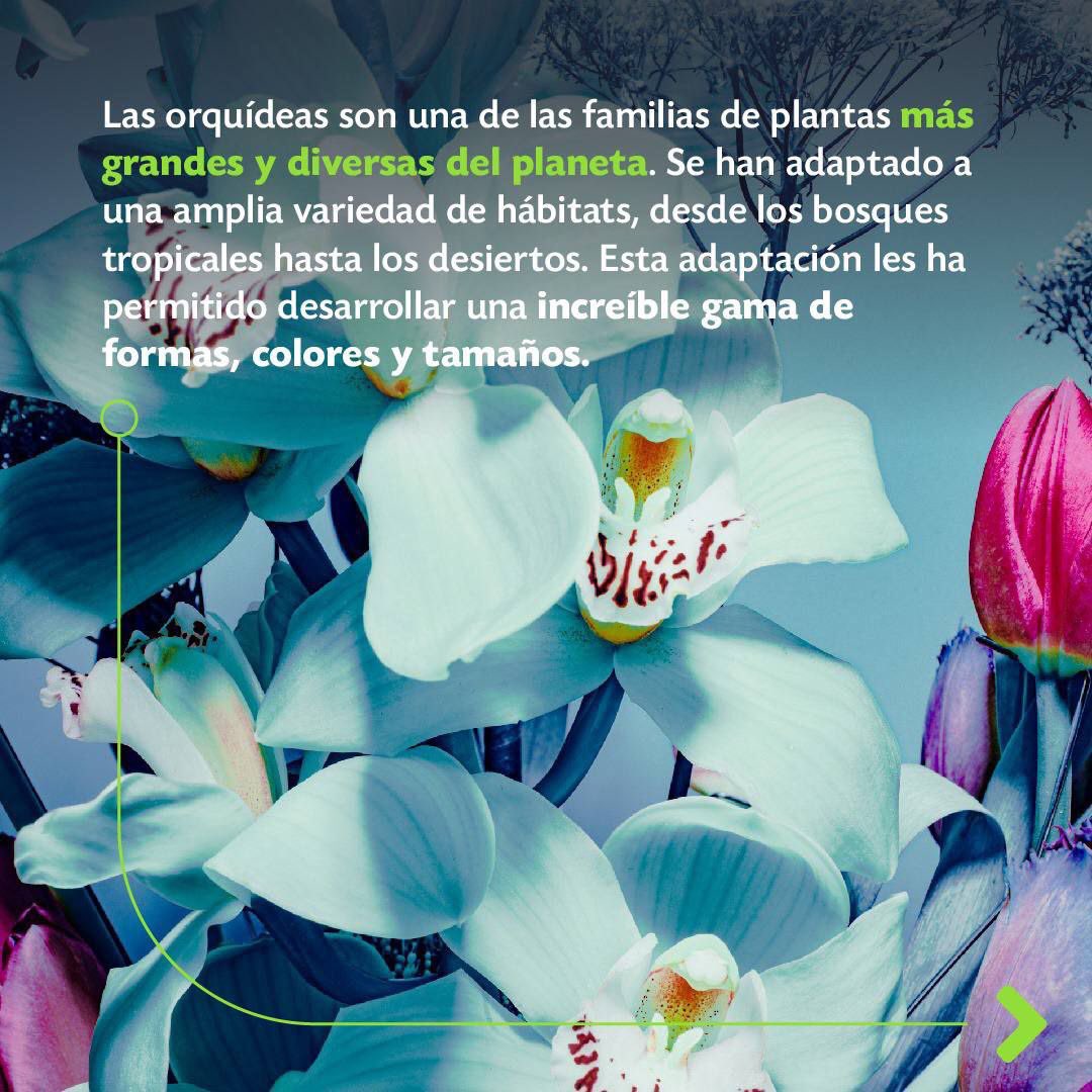 Inparques Oficial tweet media