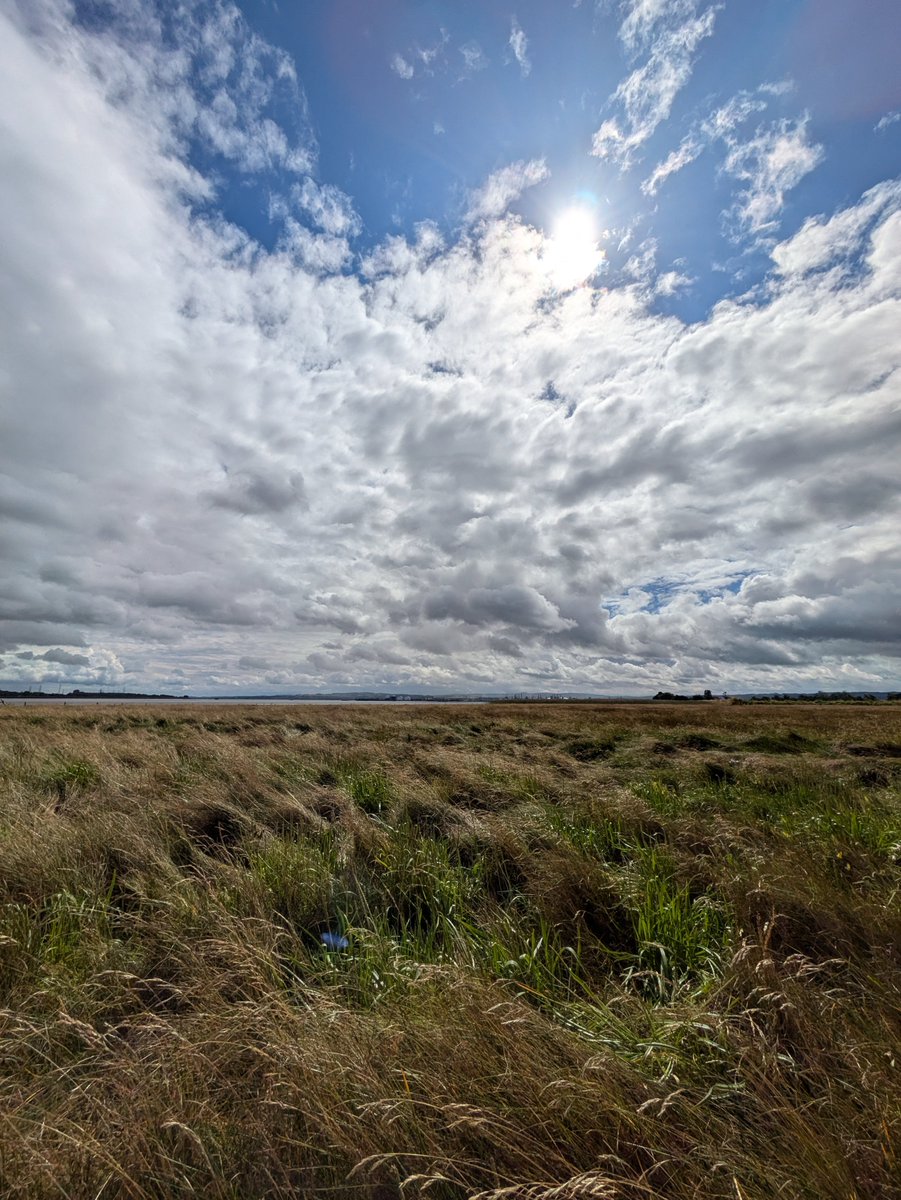 Sunny day of fieldwork sampling both the mature and realigned saltmarshes at Skinflats for a <a href="/SUPERDTP1/">SUPER Doctoral Training Partnership</a> summer internship project.

Always enjoy using the <a href="/pp_systems/">PP Systems International @ppsystems.bsky.social</a> EGM-5 CO2 Gas Analyser - such a great bit of kit.

Not pictured is an ill-advised creek crossing! 🚸

#Bluecarbon