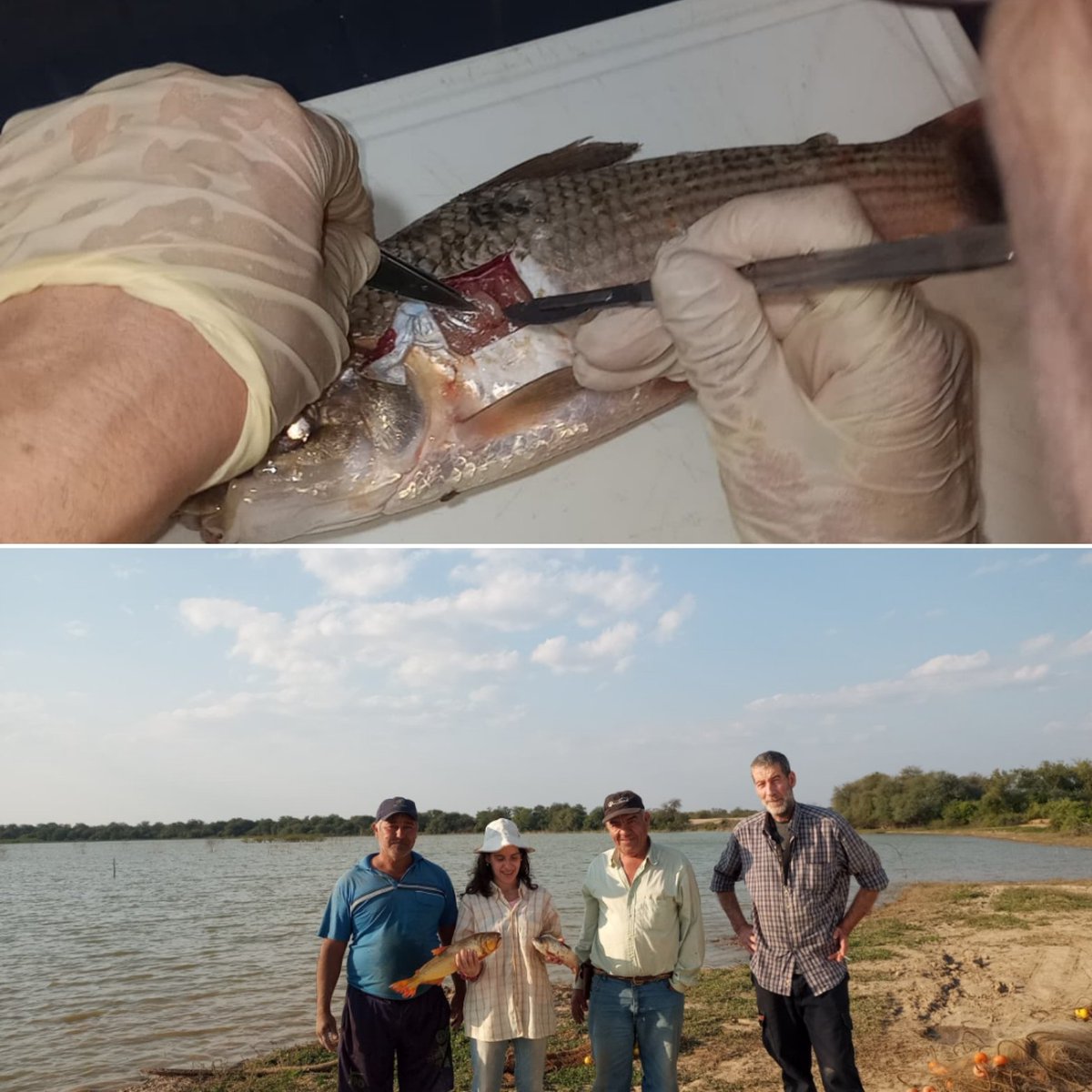 ArgCuencas's tweet photo. Monitoreo de Biota, calidad de aguas y sedimentos en el río Pilcomayo, Recursos Hídricos de Nación y de la provincia de #Salta, en el marco del Programa de Cuencas del Noroeste Argentino, #SSRH/@cohife1 https://t.co/73EL0VU9TD
