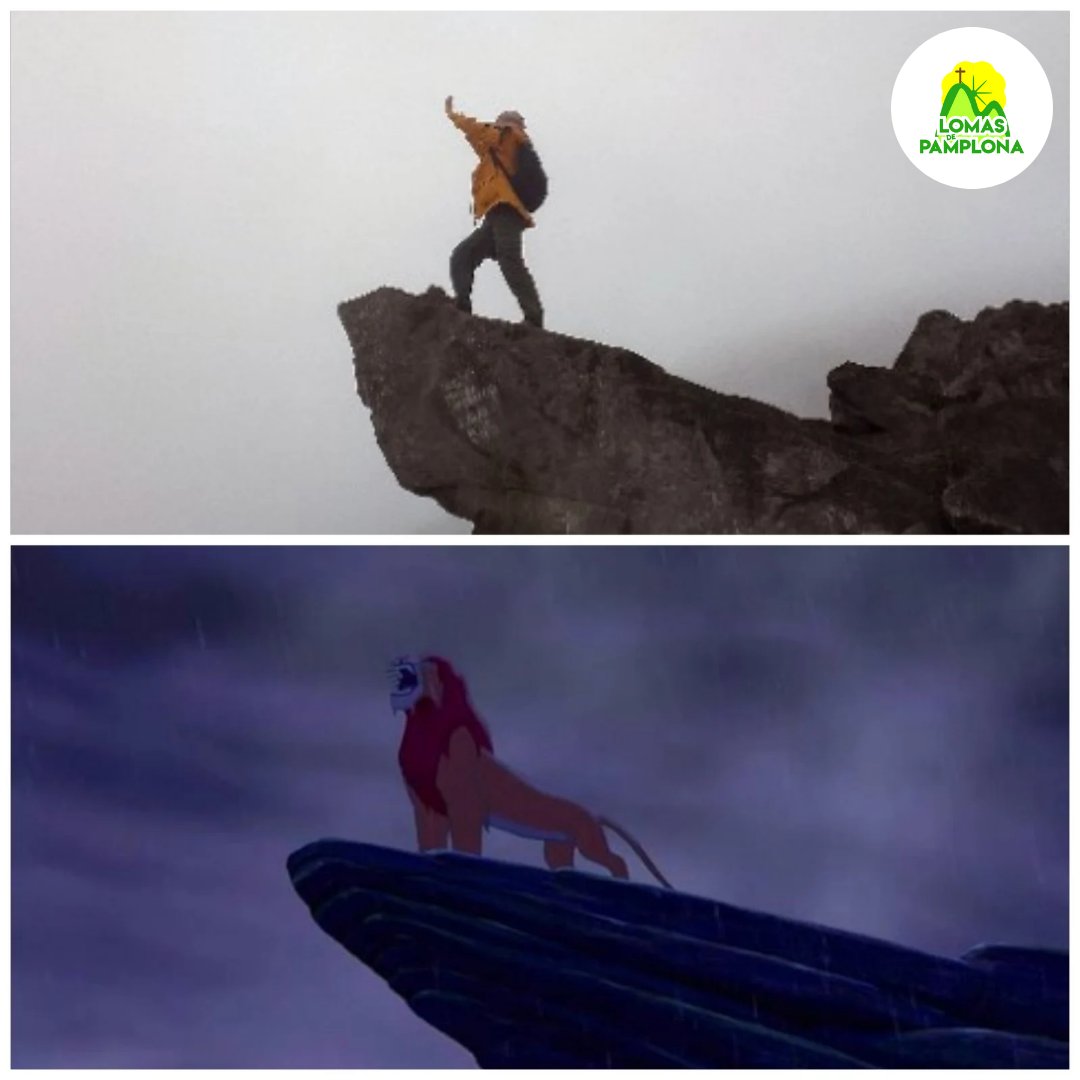 Una nueva aventura y un nuevo hallazgo.

Con ustedes, nuestra "roca del Rey". ⛰️👑🦁

#SalvemosLasLomas 💚