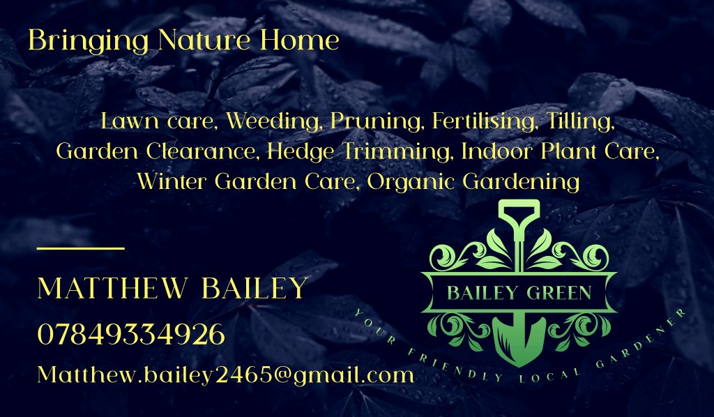 Need a friendly and reliable gardener? 👨‍🌾 Look no further than Matthew Bailey from Bailey Green! Contact him today for a free quote.