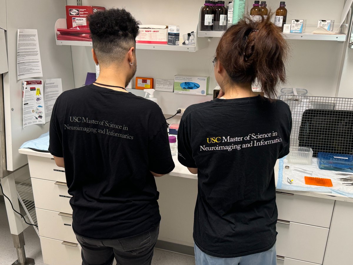 🎉NIIN alumni Jared Simmons ('22) and Yiwen Zhou ('24) both spontaneously showed their NIIN pride at work today in USC's Center for Integrative Connectomics 🐭 🧠