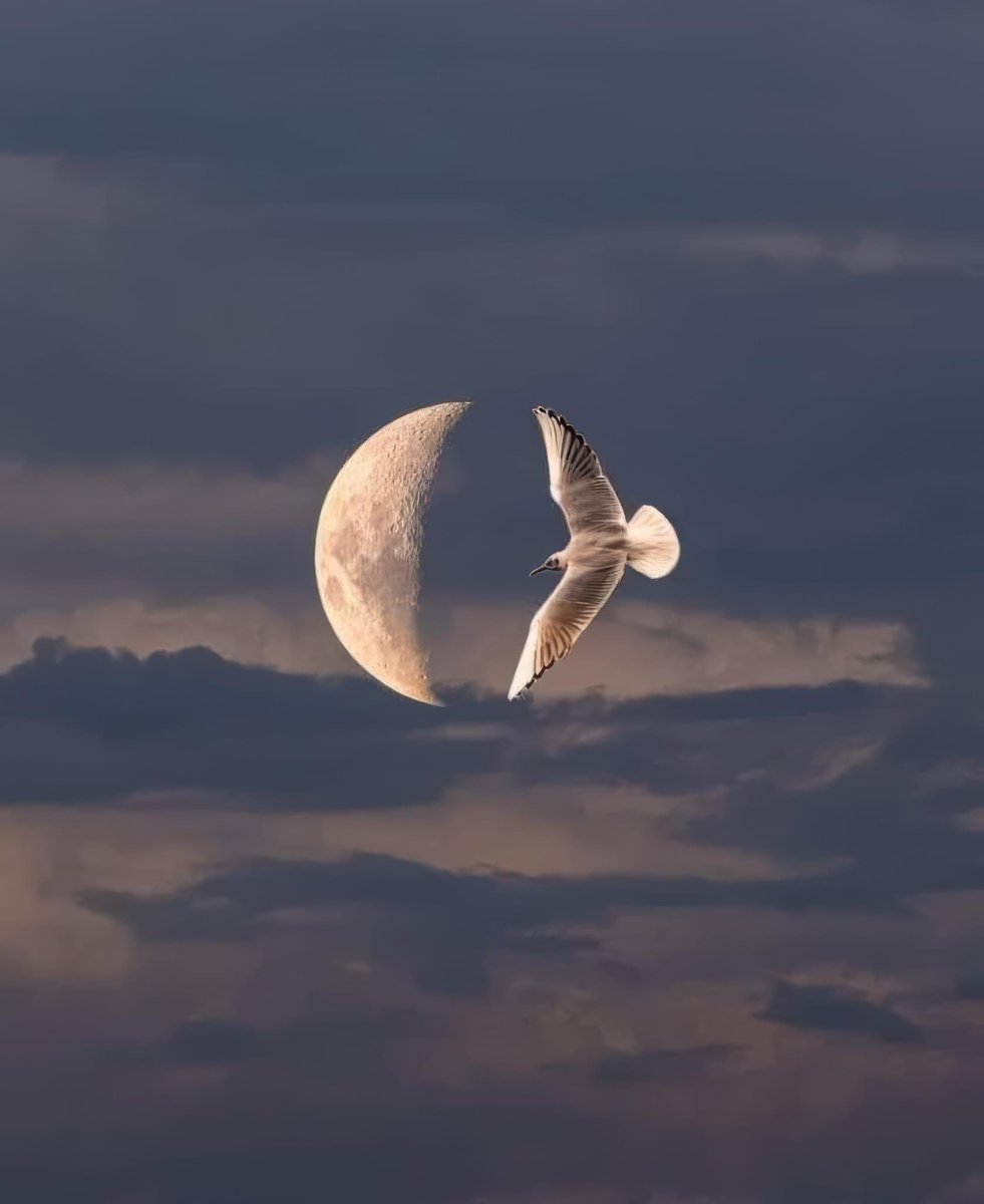 -ben kendimi Allah'a bıraktım, 
yağmur gibi, bulut gibi, kuş gibi, ibrâhim gibi..