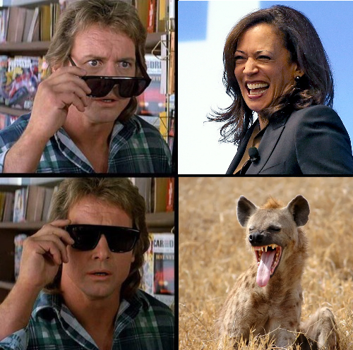 GUZvMDFWQAEKa0c?format=png&name=small
