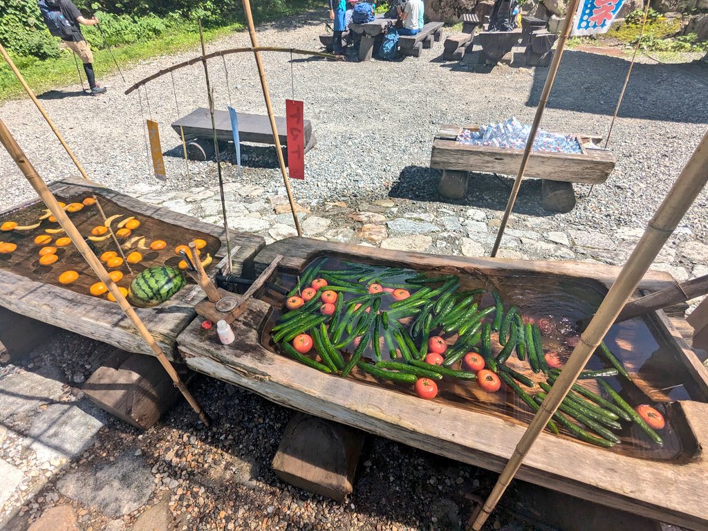 Bonchi_Hikers's tweet photo. わさび平の冷やしトマトー！で水分と栄養摂取。山では乾いたものばっかり食べがちなので生野菜果物見るだけで潤う🥹沁みた🙏 #わさび平小屋　8/2 https://t.co/1lCENeLzAS