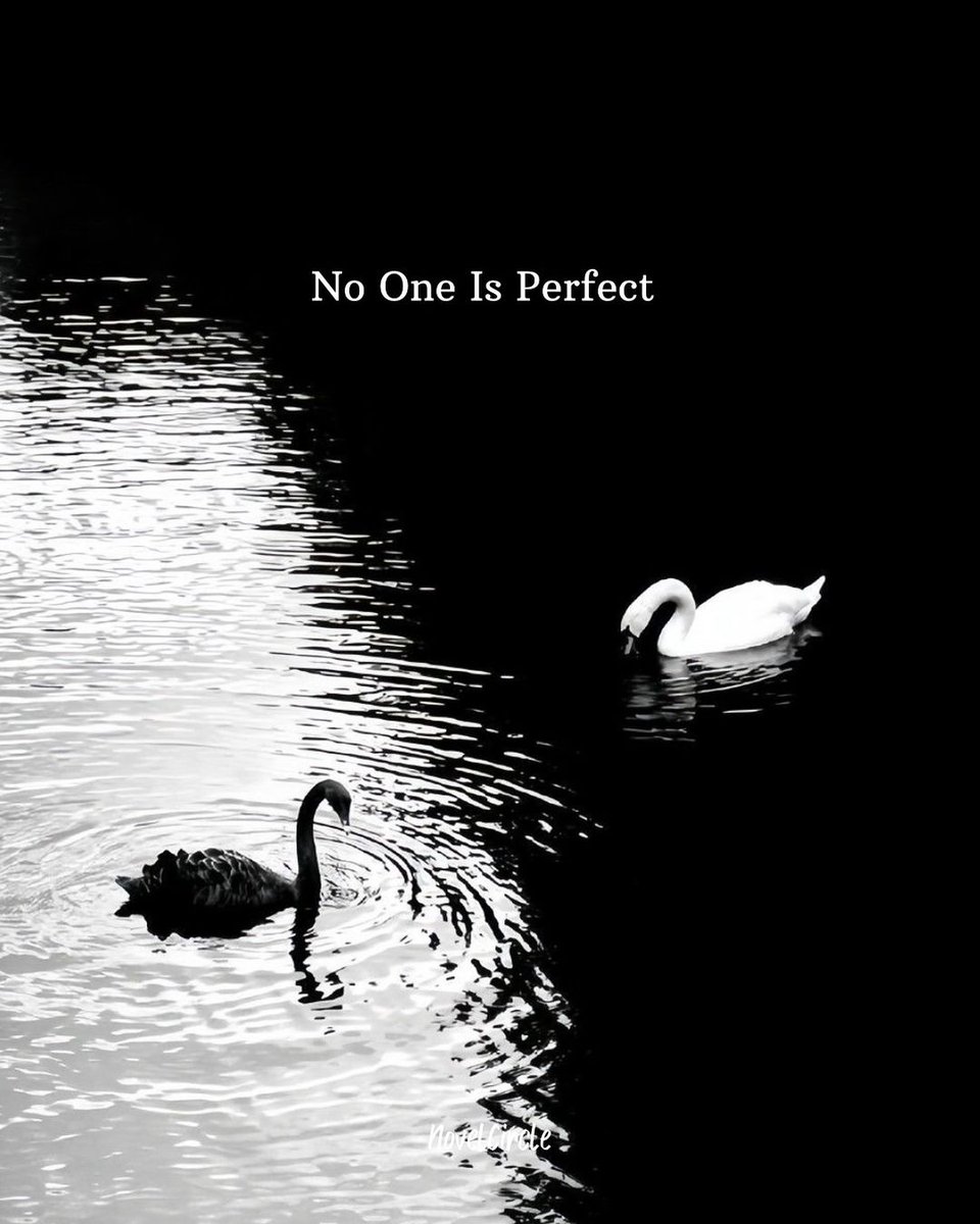 Mind Essentials (@mind_essentials) on Twitter photo 