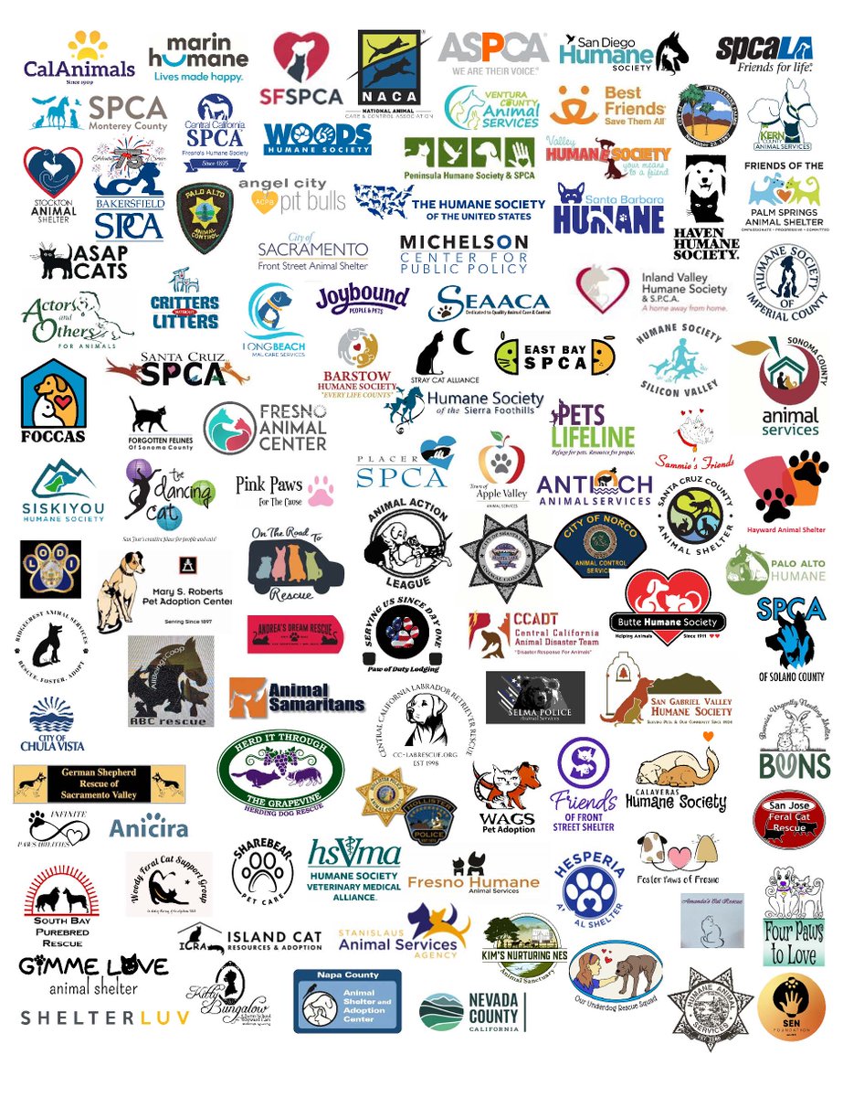 michelsonpolicy's tweet photo. The Michelson Center for Public Policy is proud to be one of the more than 150 @calanimals supporters of #SB1233. This crucial piece of legislation aims to address the veterinary shortage and reduce pet overpopulation in California. https://t.co/K1VicOjXXQ