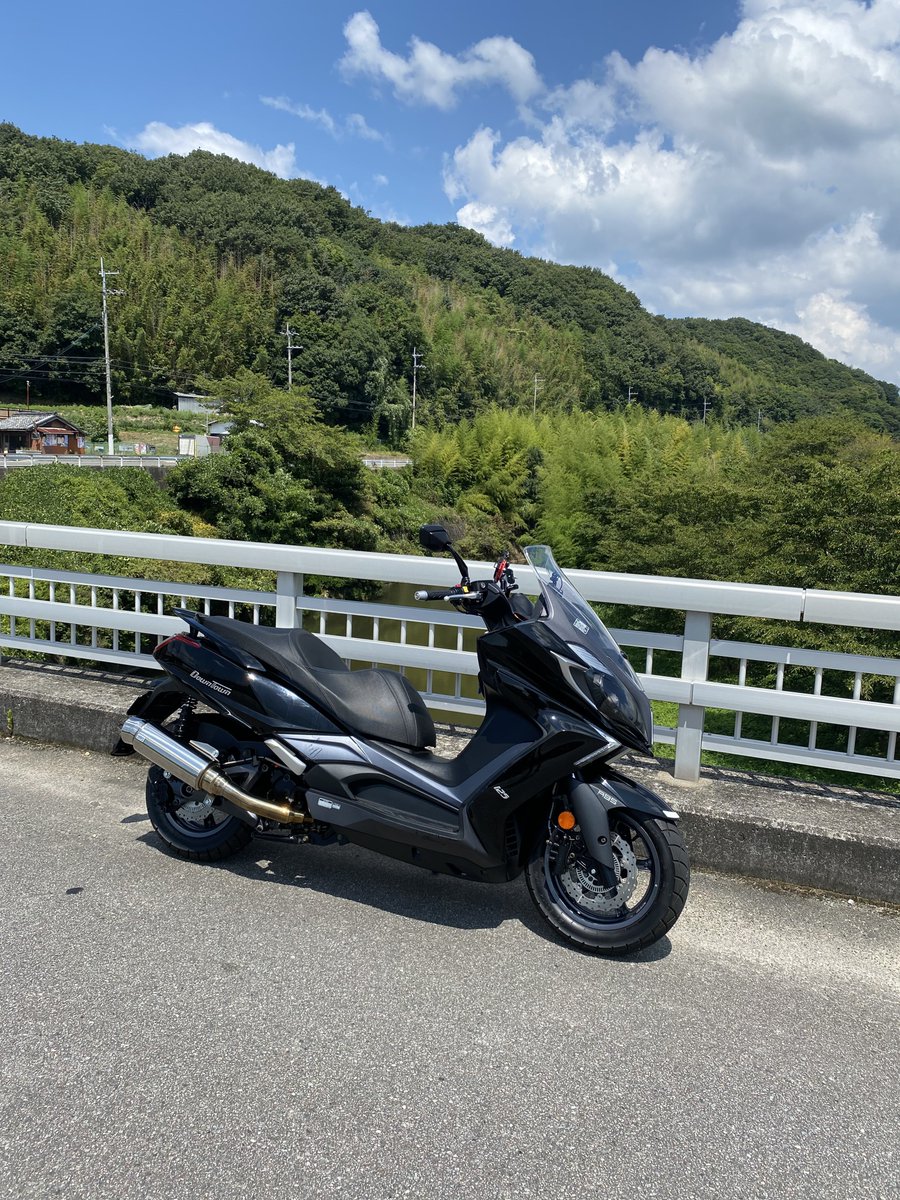 前走ってたスクーターさん
感知式信号機の下で手あげたりバンザイしてみたりされてましたが信号かわらず私は手前の木陰でお待ち
ちょっとズルいですかね😆