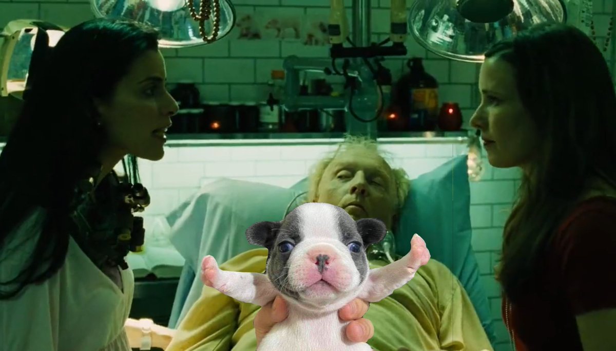 STOP FIGHTING!!1!1!!!!