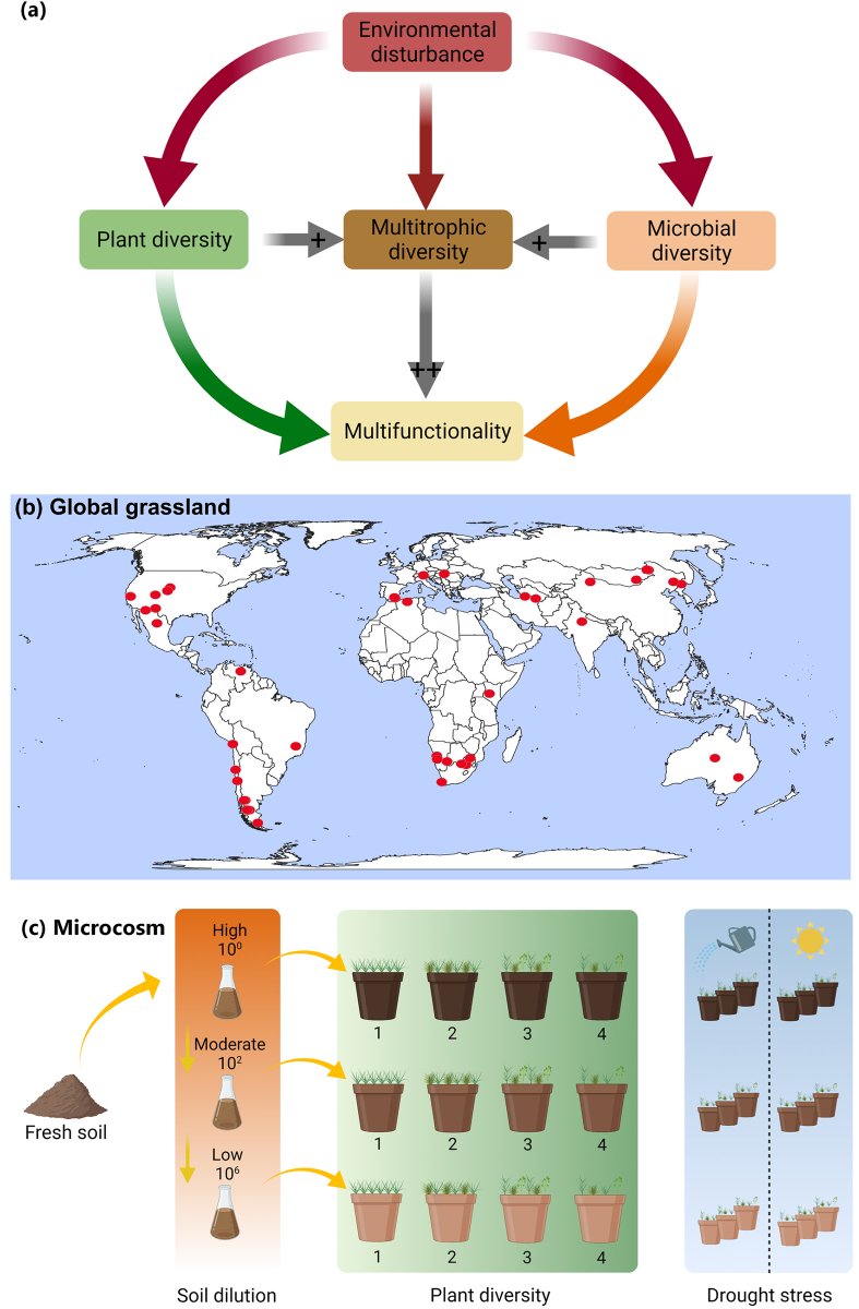 Prof Brajesh Singh (@prof_braj_singh) on Twitter photo New paper from the lab- Aboveground and belowground biodiversity have complementary effects on ecosystem functions across global grasslands
In <a href="/PLOSBiology/">PLOS Biology</a> led by postdoc- Martins with contribution from <a href="/ManuDelBaq/">ManuDelgadoBaquerizo</a> <a href="/TadeoSaez/">Tadeo Saez</a> <a href="/ftmaestre/">Fernando T. Maestre</a> <a href="/wang_juntao/">Juntao WANG</a> <a href="/hongweiliu10/">Dr Hongwei Liu</a> <a href="/Ramesha_HJ/">Ramesha Jayaramaiah</a> New paper from the lab- Aboveground and belowground biodiversity have complementary effects on ecosystem functions across global grasslands
In <a href="/PLOSBiology/">PLOS Biology</a> led by postdoc- Martins with contribution from <a href="/ManuDelBaq/">ManuDelgadoBaquerizo</a> <a href="/TadeoSaez/">Tadeo Saez</a> <a href="/ftmaestre/">Fernando T. Maestre</a> <a href="/wang_juntao/">Juntao WANG</a> <a href="/hongweiliu10/">Dr Hongwei Liu</a> <a href="/Ramesha_HJ/">Ramesha Jayaramaiah</a>