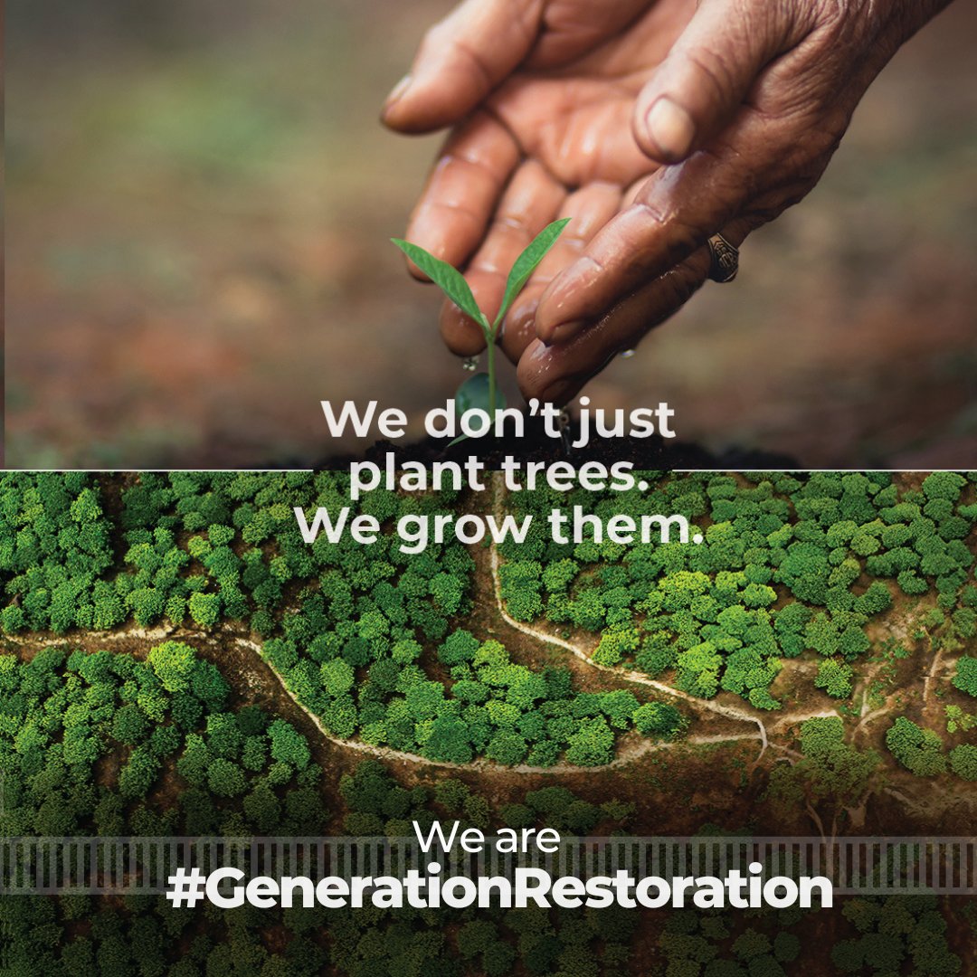 UNEP's tweet photo. What’s the point of planting trees, if we can’t keep them healthy? To save our planet &amp; common future, humanity must grow, restore &amp; conserve forests to create healthy ecosystems.

#GenerationRestoration begins with you.

https://t.co/O7VDF81m29 https://t.co/Y1LNKidWyJ