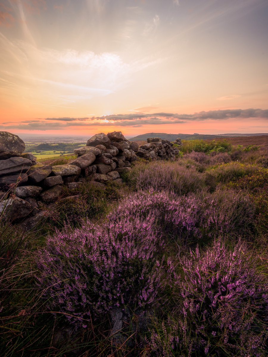 Rich Doak Photography tweet media