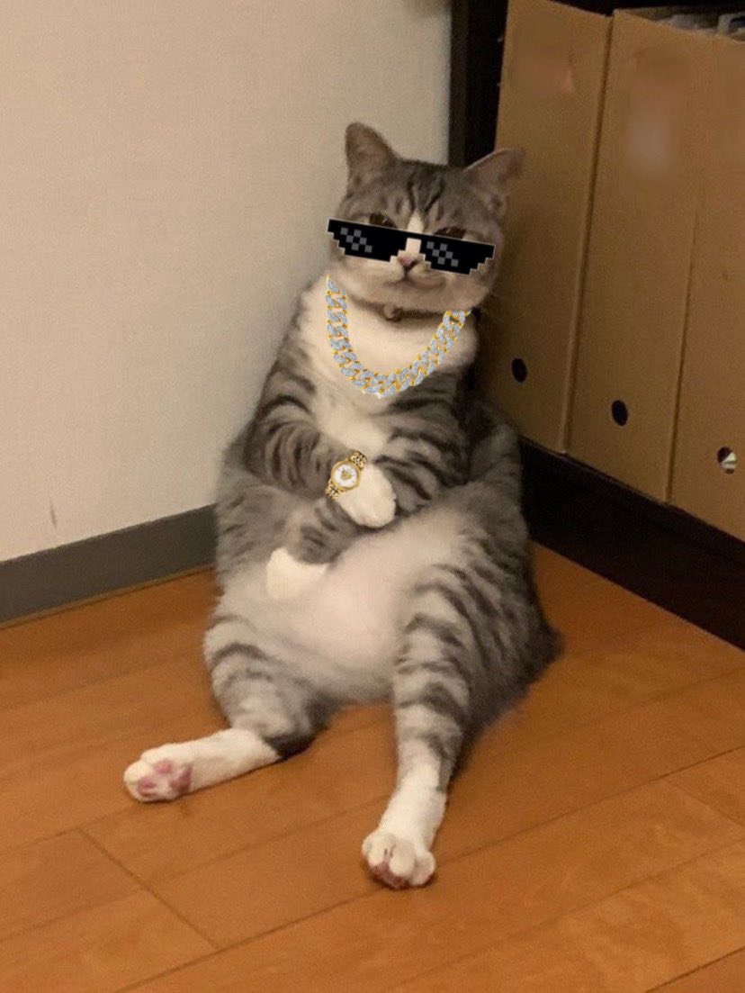 armyoew's tweet photo. @MEXC_Official @donotfomoew 😼 https://t.co/zBjhnxSYys