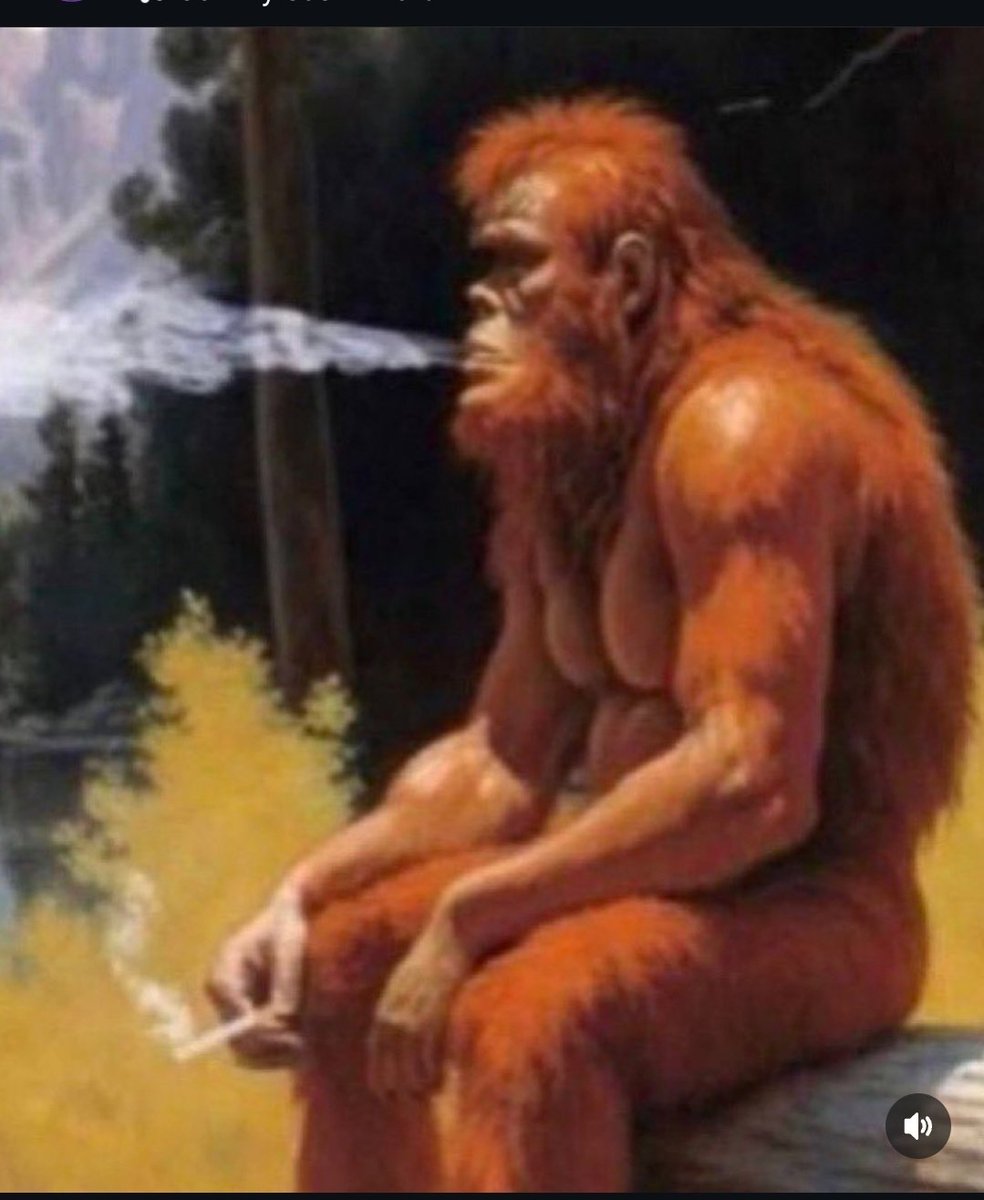 Will (Deus) tweet media