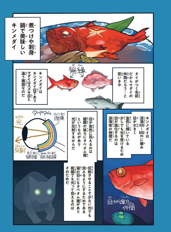 (2/2) 